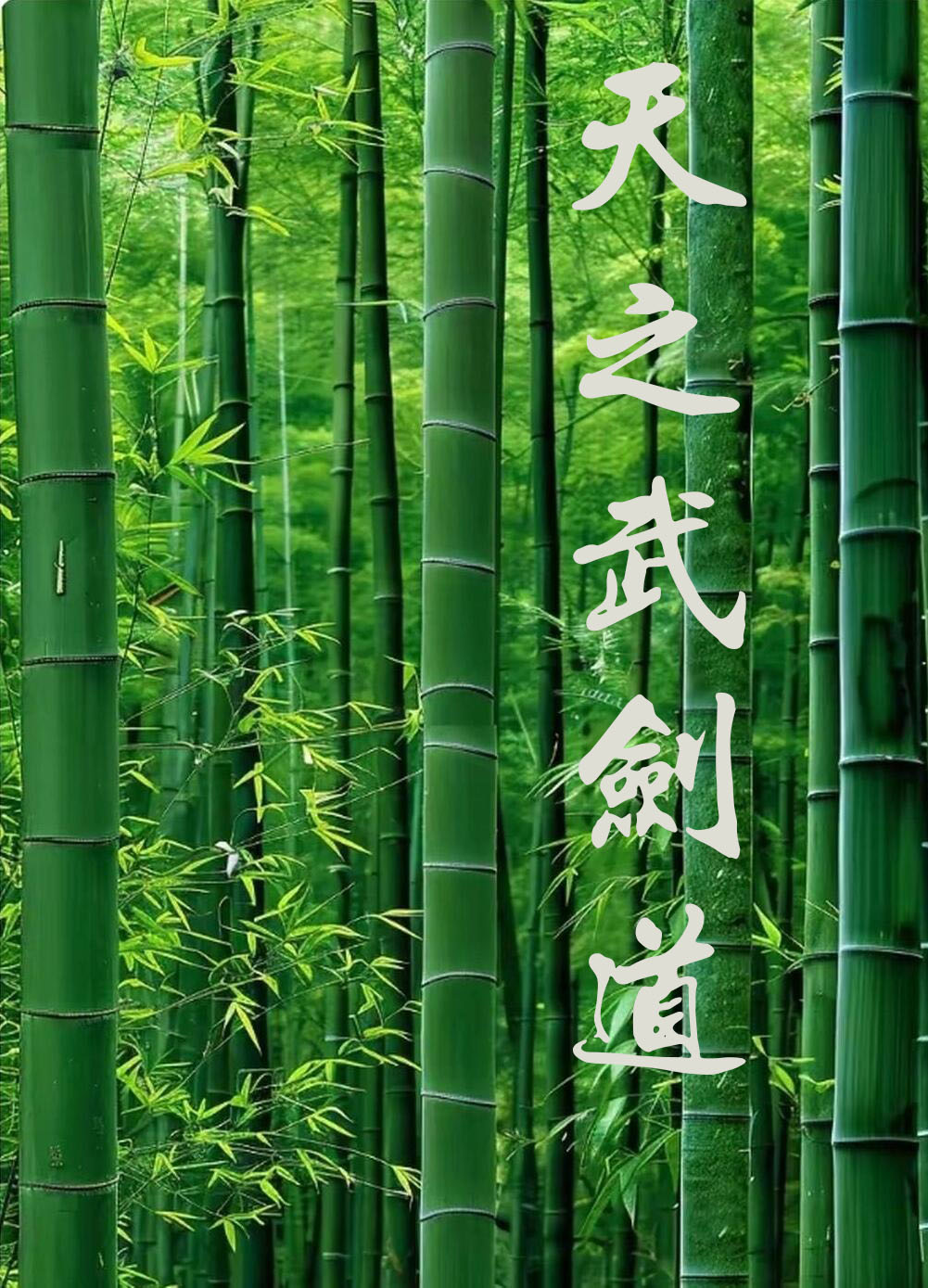 天之武剑道竹林背景