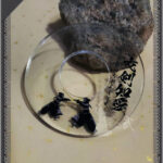 sky-Kendo Shinai Tsuba | Tokugawa Kamon, Fūrinkazan, Ken Ken Chiai | Japanese Export, Multi-Style